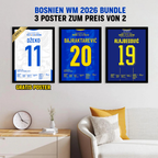 Bosnien WM 2026 Bundle