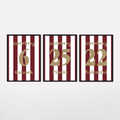 125 Jahre FCN - Capitano Bundle Fußball Poster mit Rahmen