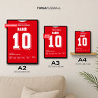 Haber 10 Poster in A2, A3 und A4 im Groessenvergleich